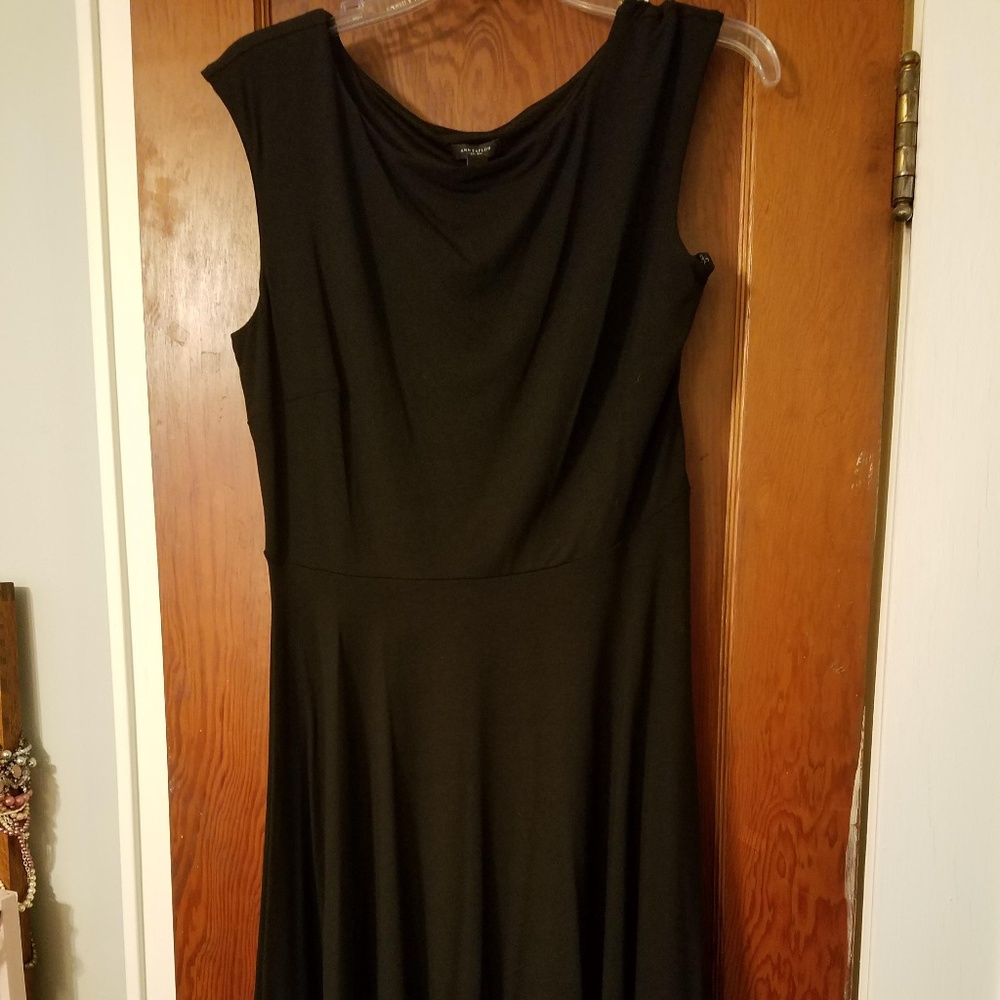 Ann Taylor Dress - Size 10 / NWT